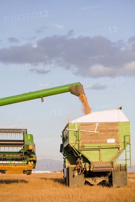 Combining grain