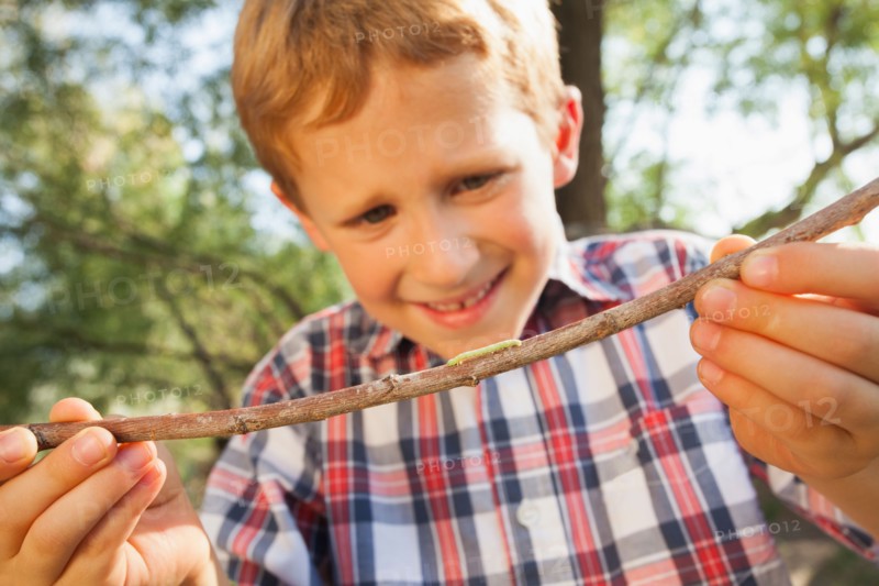 Little boy (6-7) holding stick with caterpillar on it