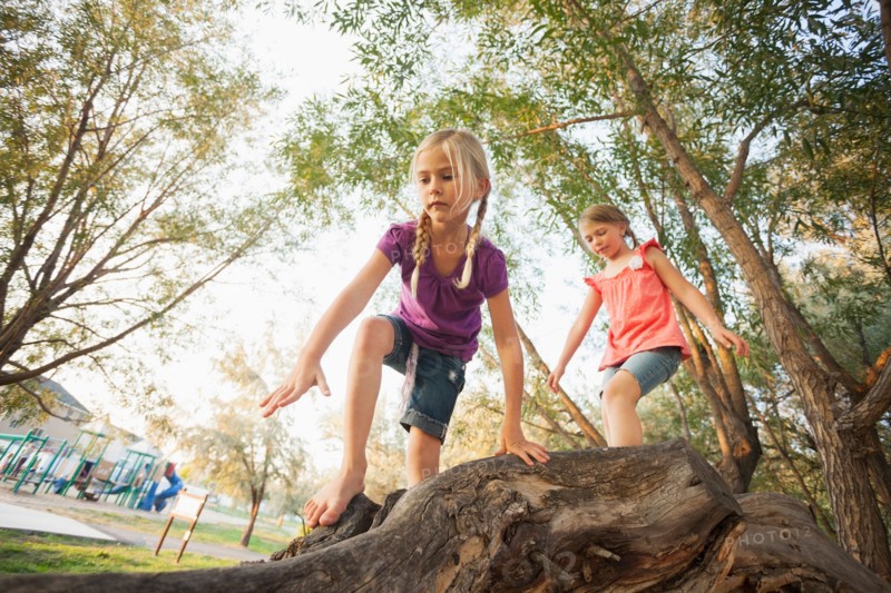 Two little girls (4-5, 6-7) climbing on very large tree branch