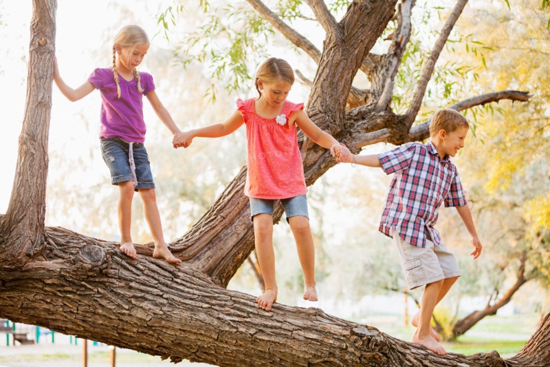 Three kids (4-5, 6-7) balancing on tree branch