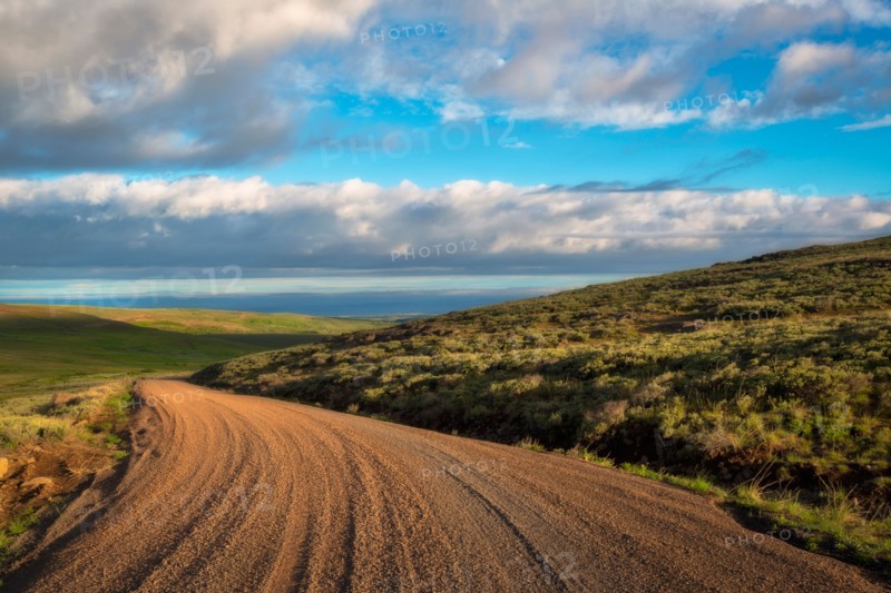 Dirt road and fields