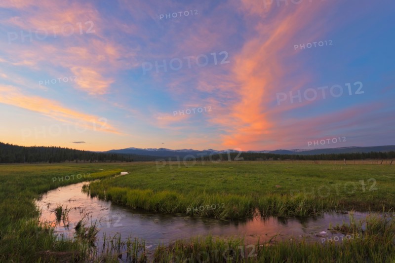 Strawberry horse at sunset
