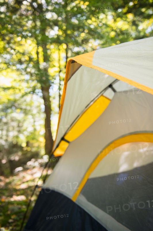 Tent in forest. Photo: Jamie Grill
