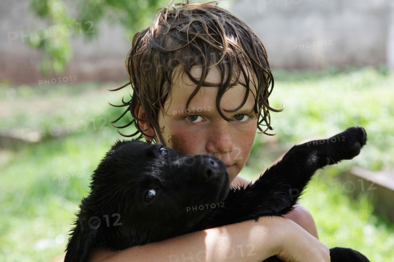 Portrait of wet Boy (10-11) with Labrador puppy . Photo : pauline st.denis