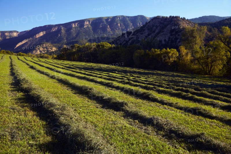 Landscape with field and mountain. Photo : Kelly