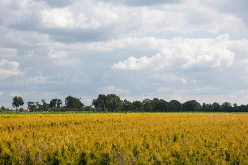Rural scenery. Photo : Jan Scherders