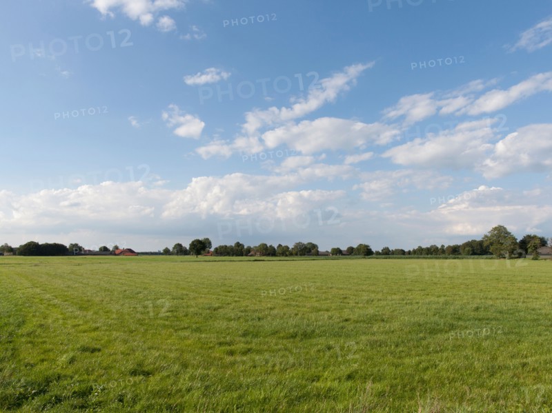Rural scenery. Photo: Jan Scherders