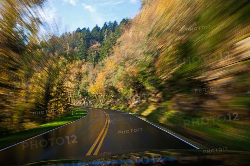 Road going through National Park. Photo: Henryk Sadura