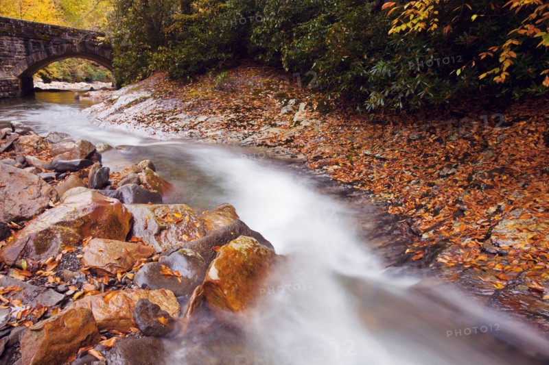 Small stream. Photo : Henryk Sadura