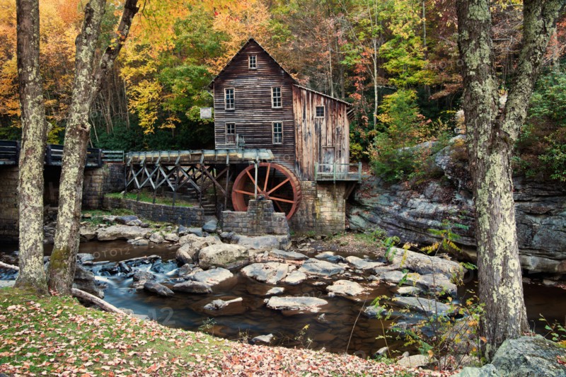 Mill on creek in forest. Photo : Henryk Sadura