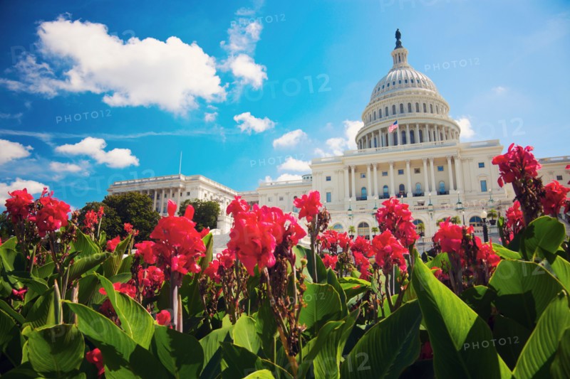 Capitol Building. Photo: Henryk Sadura