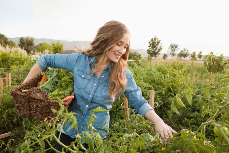 Portrait of young woman harvesting vegetables. Photo : Jessica Peterson