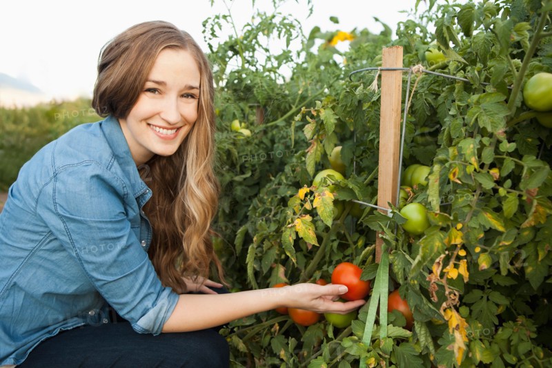 Portrait of young woman harvesting tomatoes. Photo : Jessica Peterson
