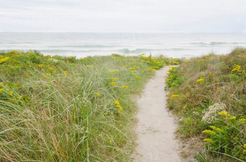 Footpath leading to beach