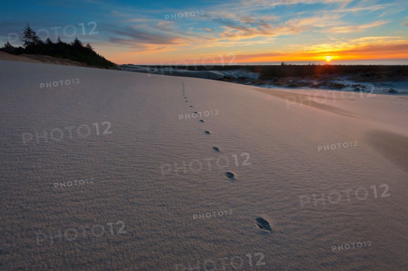 Sunset over winter landscape