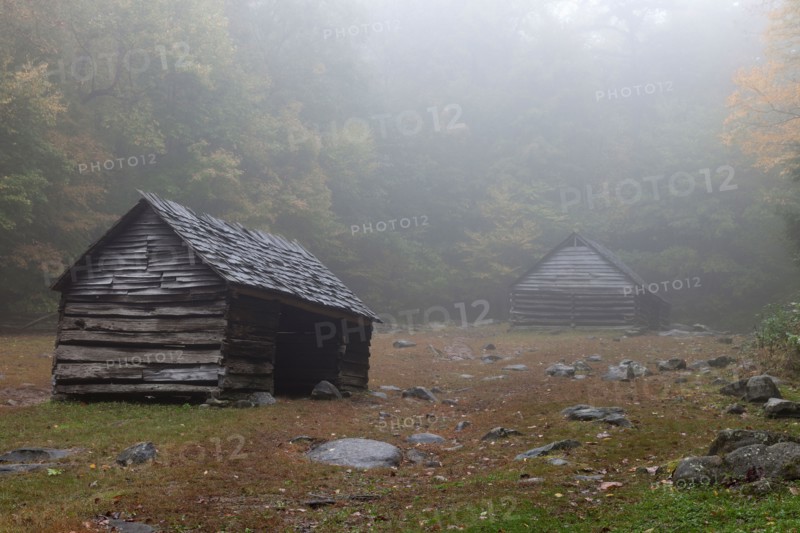 Sheds in foggy glade