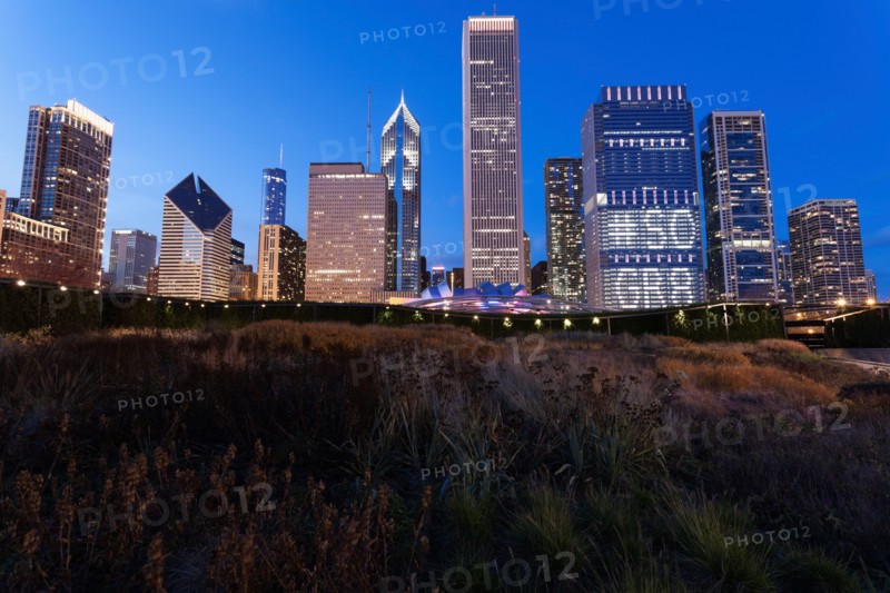 Cityscape of Chicago