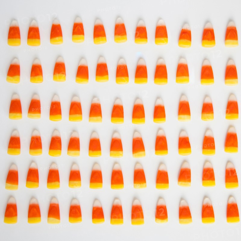 Studio Shot of rows of candy corn