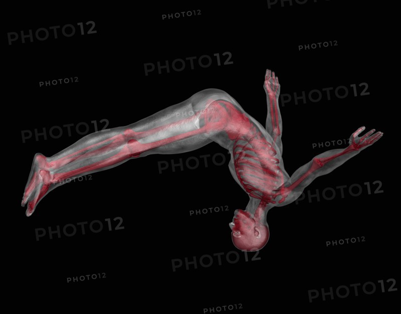 Human skeleton jumping upside down