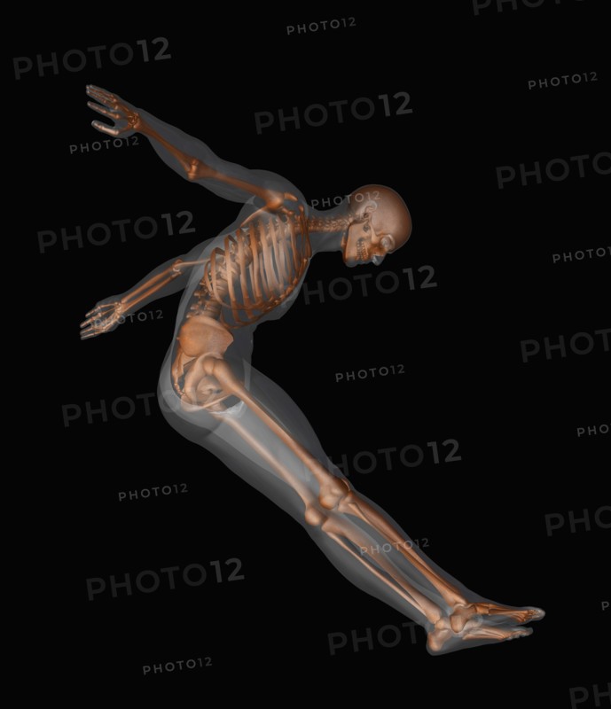 Human skeleton jumping mid-air