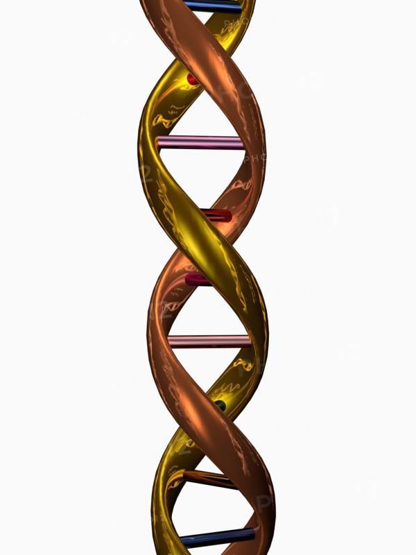 Digitally generated image of double helix