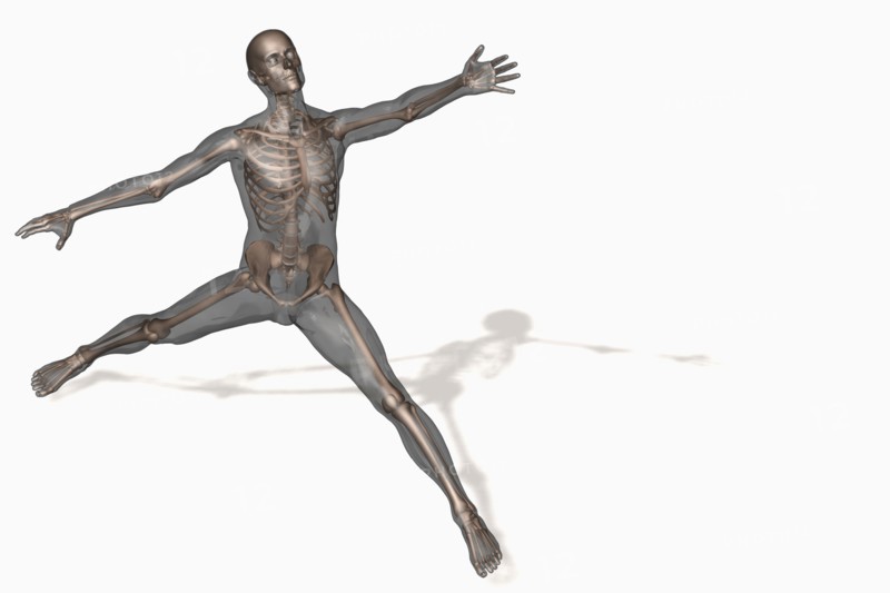 Human skeleton stretching