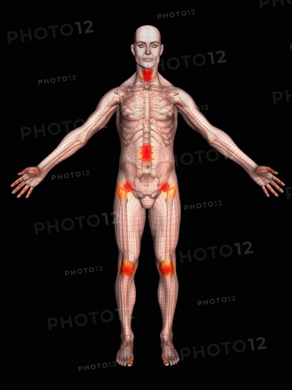 Digitally generated male figure showing body parts