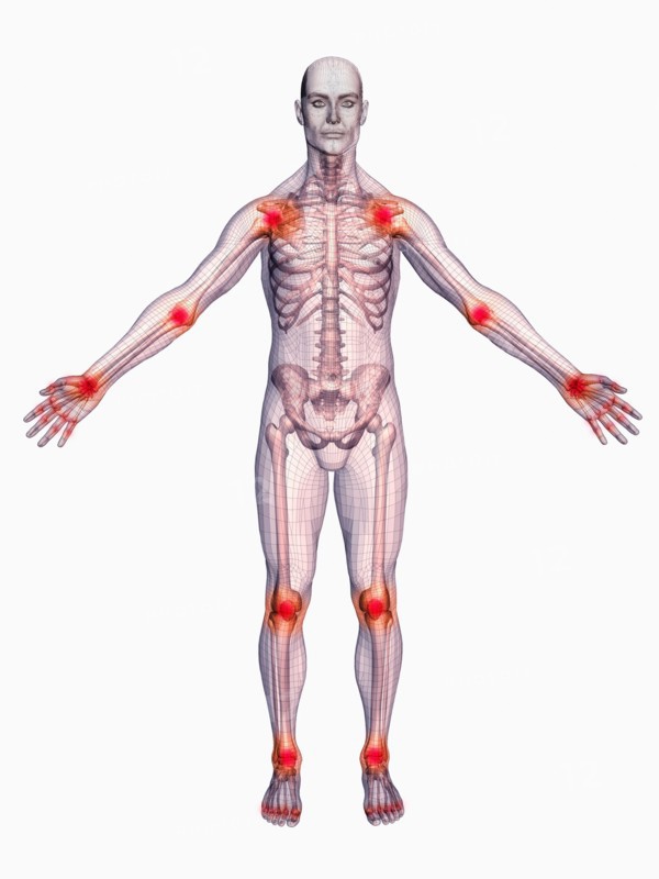 Digitally generated male figure showing body parts
