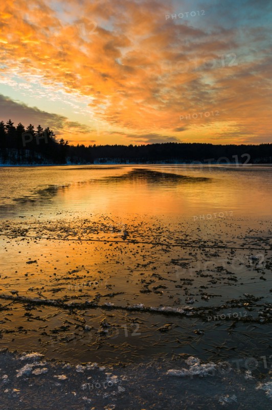 Sunset. Walden Pond, Concord, Massachusetts.