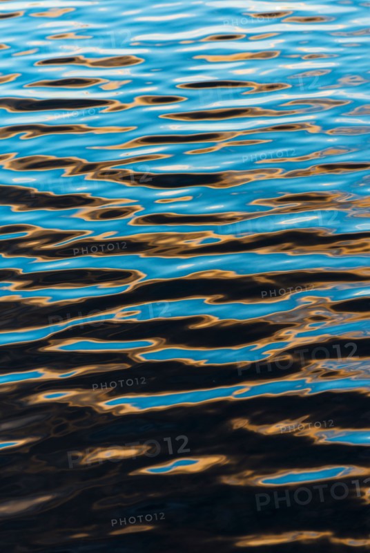 Water surface. Walden Pond, Concord, Massachusetts.