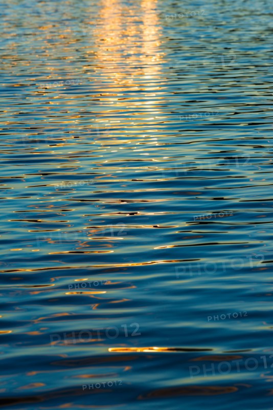 Water surface. Walden Pond, Concord, Massachusetts.