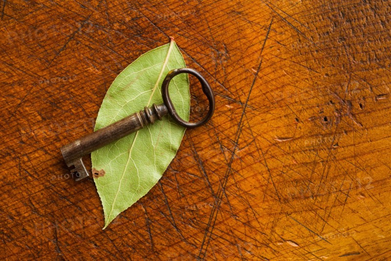 Antique key with leaf.