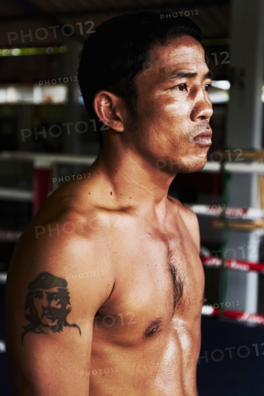 Portrait of mid adult male boxer
