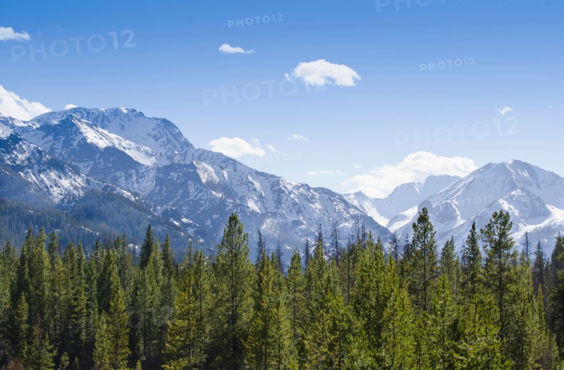 View of forest with Rocky Mountains in background