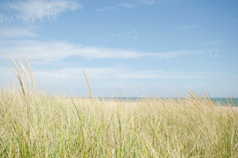 Sand dunes with grass