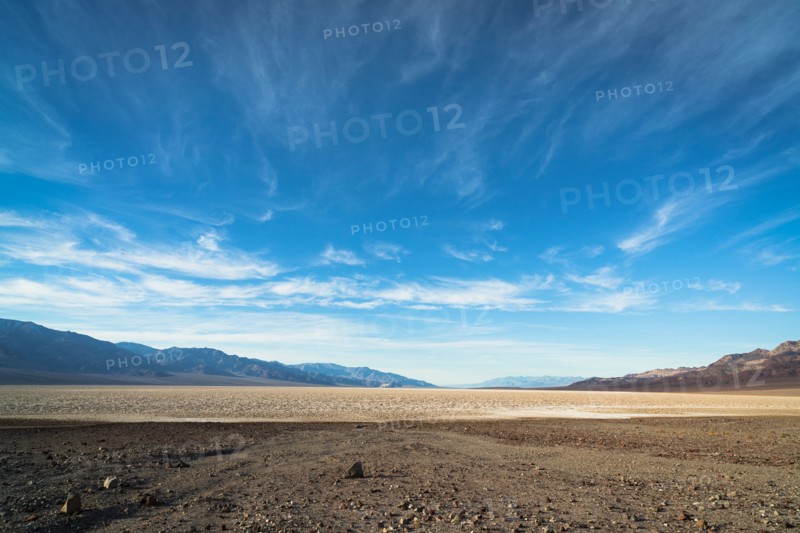 Desert landscape