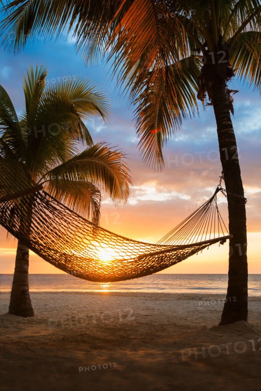 Hammock on beach at sunset. Jamaica.