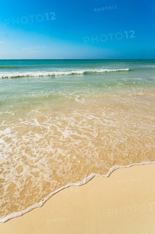 Seascape. Jamaica.