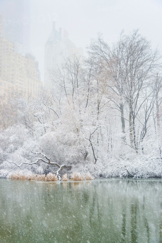 Central Park, The Pond in winter. USA, New York State, New York.