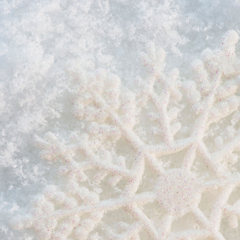 Close-up view of snowflake