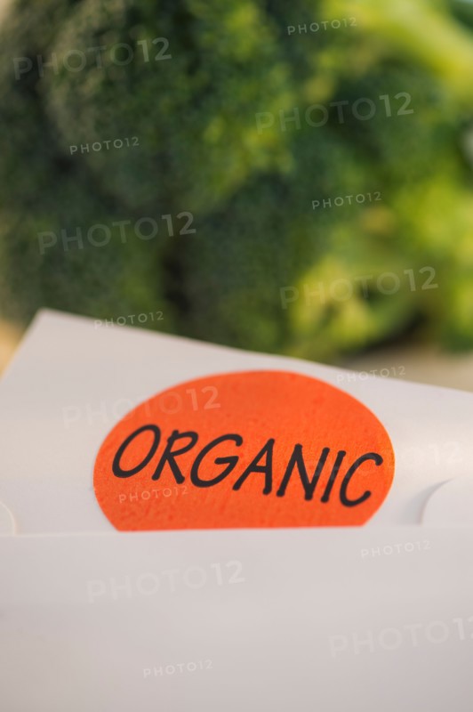 Studio Shot of organic broccoli