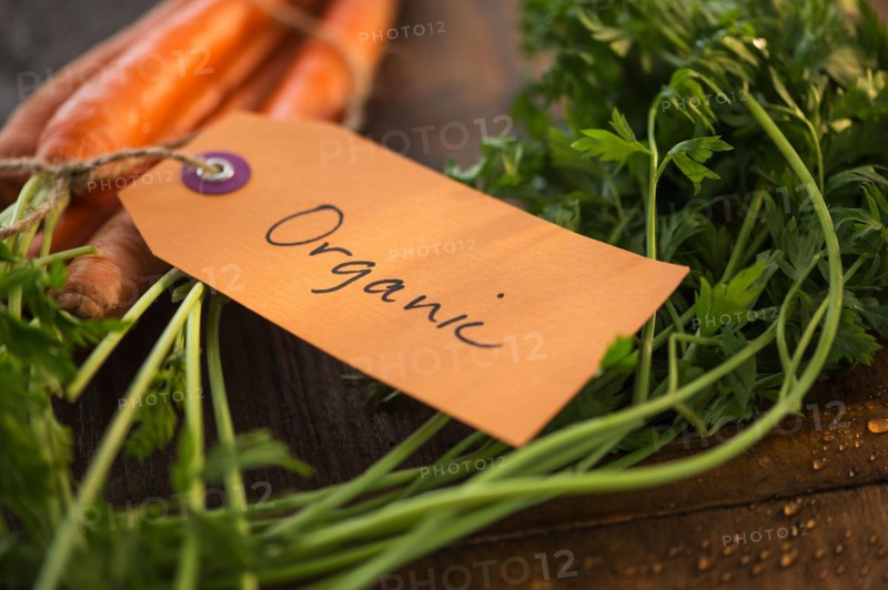 Studio Shot of organic carrots