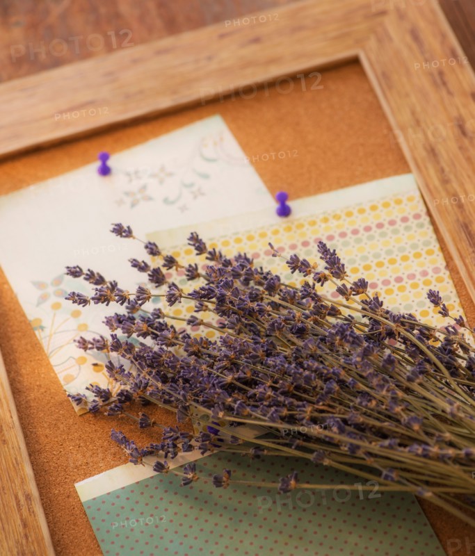 Studio Shot of lavender and cork board