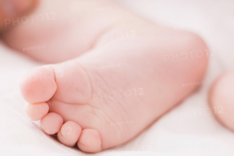 close up of baby`s foot (18-23 months)