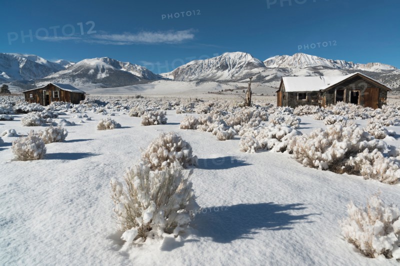 Mono Lake, View at old homestead