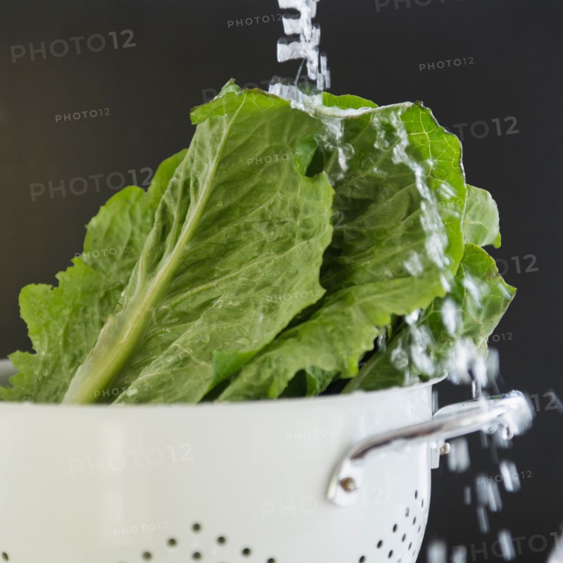 Close up of lettuce in colander under water splash, studio shot