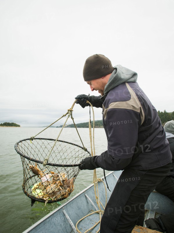 Man pulling net full of crabs