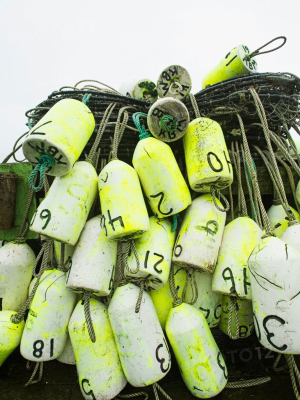 Stack of nets