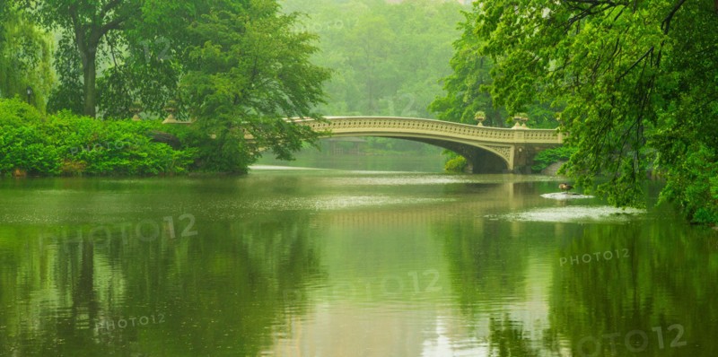 Central Park, New York City. Bridge in central park.
