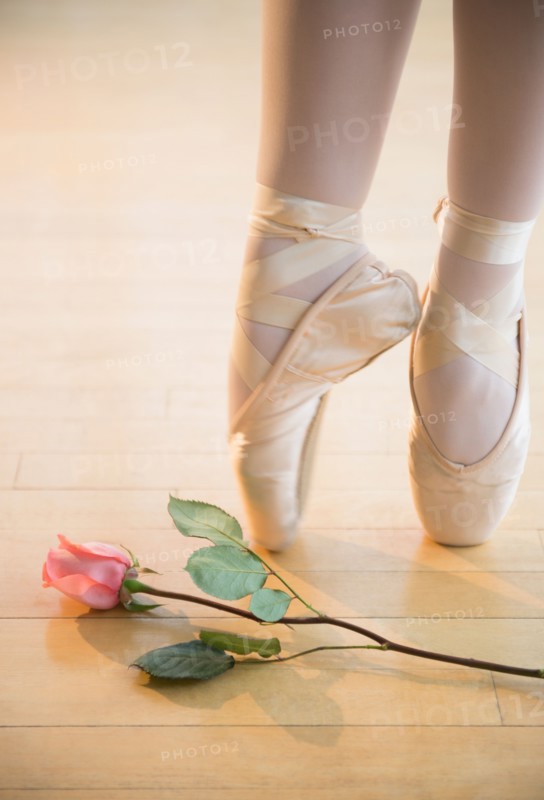 Low section of ballet dancer (16-17) tiptoing next to rose